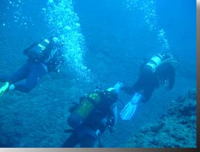 A group of NISD Divers