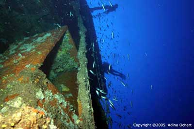 NISD Technical Diver