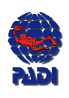 Padi